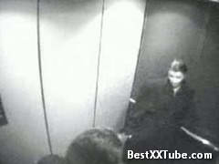 Elevator Blowjob Amateur 2 months ago