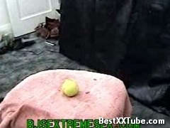 Apple time loving apples 4 months ago